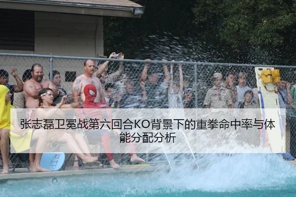 张志磊卫冕战第六回合KO背景下的重拳命中率与体能分配分析